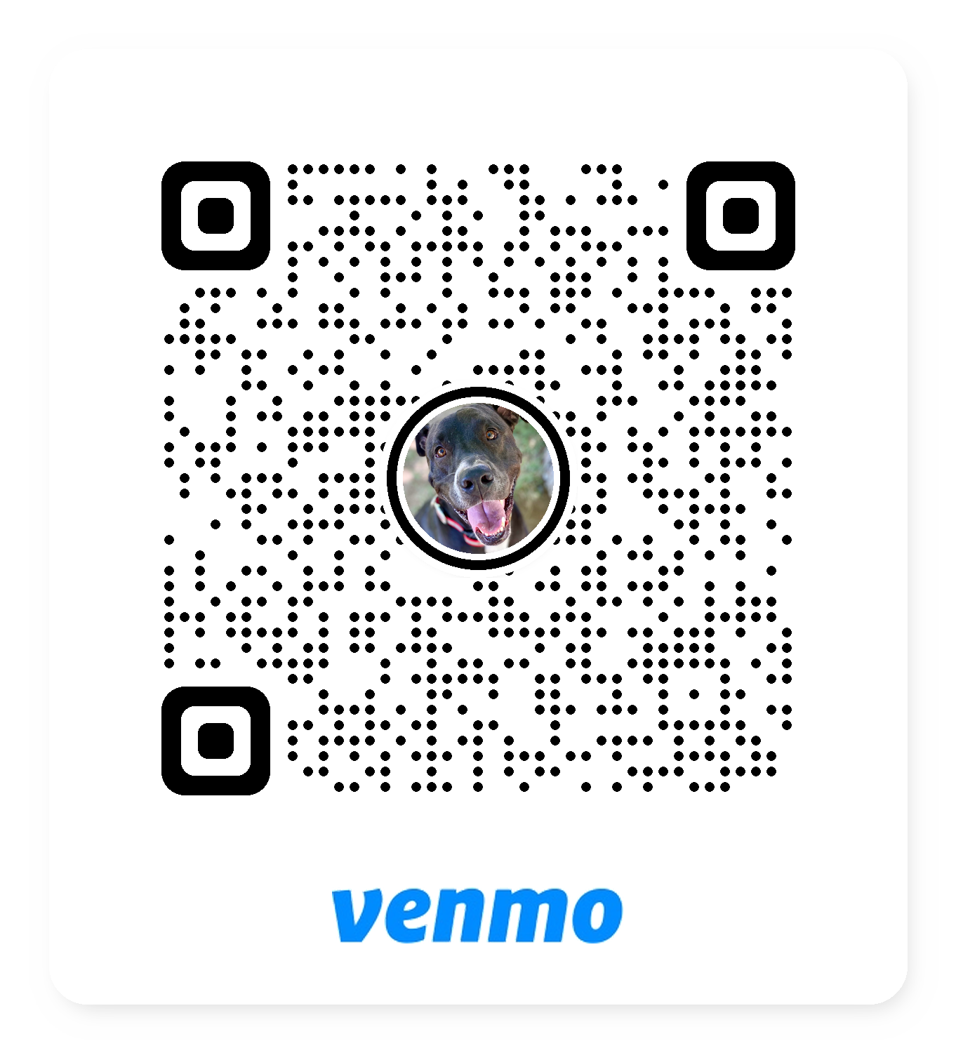 Venmo QR code for Hank's vet care fund